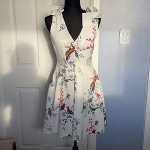 New Ted Baker Dress